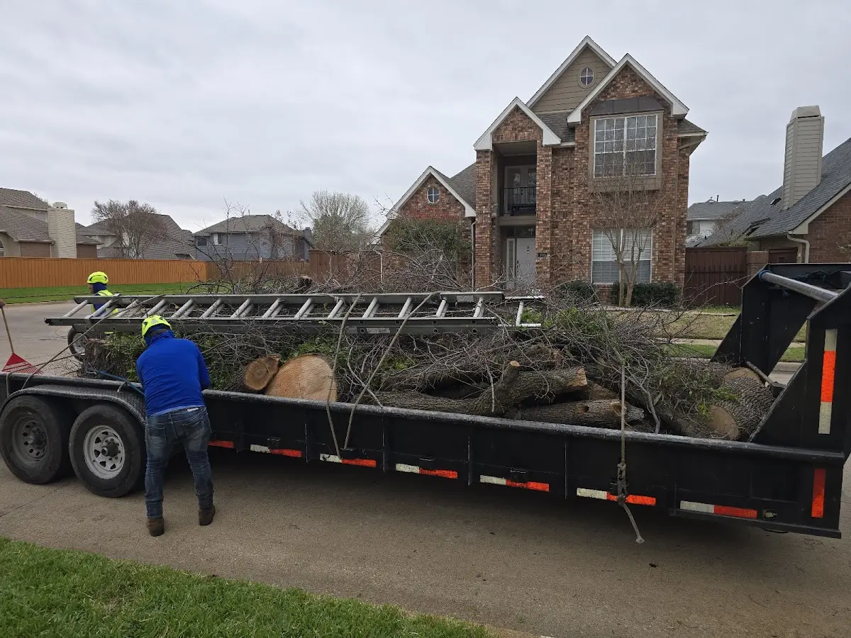 Expert Tree Removal with proper safety equipment in Winchester Center